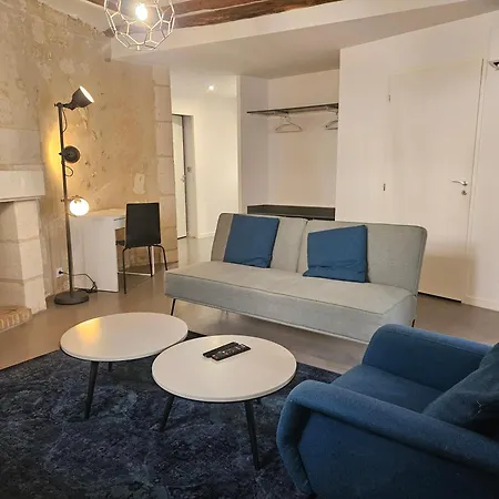 Charme Place Chateauneuf - Coeur De شقة تور