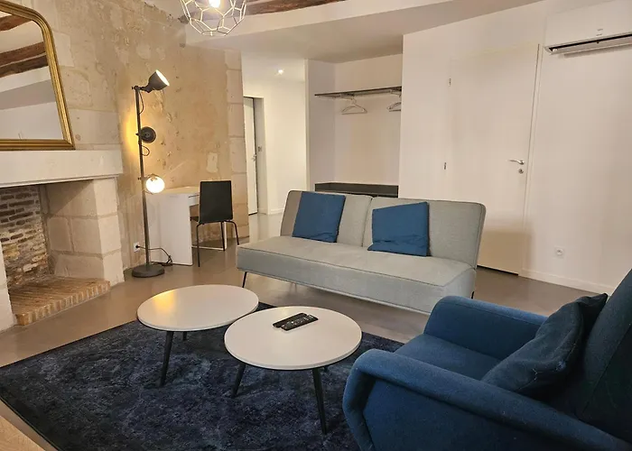 Charme Place Chateauneuf - Coeur De Appartamento Tours